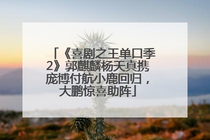 《喜剧之王单口季2》郭麒麟杨天真携庞博付航小鹿回归，大鹏惊喜助阵