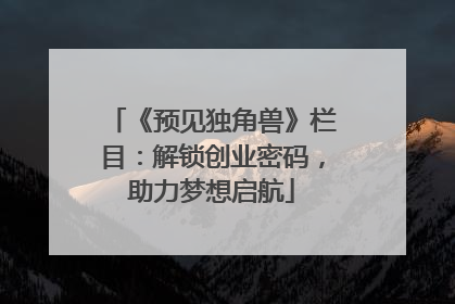 《预见独角兽》栏目：解锁创业密码，助力梦想启航