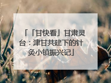 「甘快看」甘肃灵台：津甘共建下的针灸小镇振兴记
