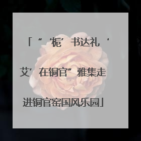 “‘栀’书达礼‘艾’在铜官”雅集走进铜官窑国风乐园