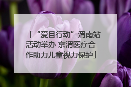 “爱目行动”渭南站活动举办 京渭医疗合作助力儿童视力保护