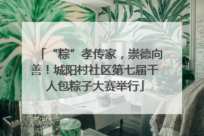 “粽”孝传家，崇德向善！城阳村社区第七届千人包粽子大赛举行