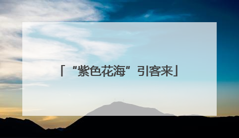 “紫色花海”引客来