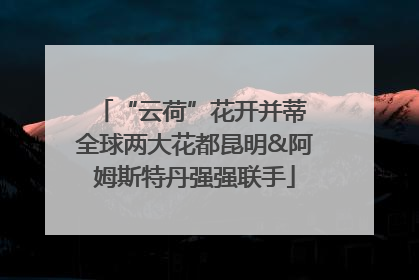 “云荷”花开并蒂 全球两大花都昆明&阿姆斯特丹强强联手