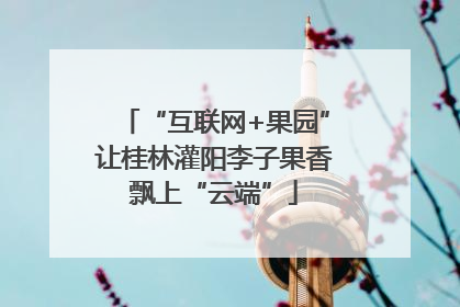 “互联网+果园”让桂林灌阳李子果香飘上“云端”