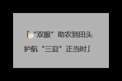 “双服”助农到田头 护航“三夏”正当时