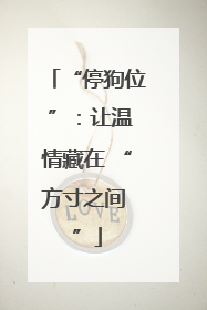 “停狗位 ”：让温情藏在 “方寸之间 ”