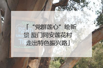 “党群莲心”绘新景 厦门同安莲花村走出特色振兴路