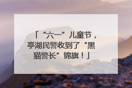 “六一”儿童节，亭湖民警收到了“黑猫警长”锦旗！