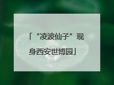 “凌波仙子”现身西安世博园