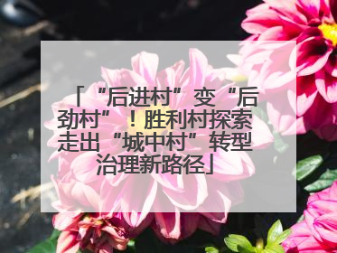 “后进村”变“后劲村”！胜利村探索走出“城中村”转型治理新路径