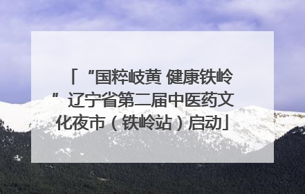 “国粹岐黄 健康铁岭”辽宁省第二届中医药文化夜市（铁岭站）启动