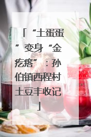 “土蛋蛋”变身“金疙瘩”：孙伯镇西程村土豆丰收记