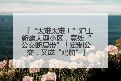 “太难太难！”沪上新建大型小区，竟处“公交断层带”！定制公交，又成“鸡肋”