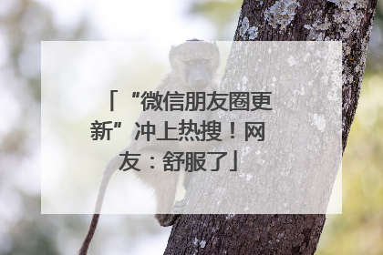 “微信朋友圈更新”冲上热搜！网友：舒服了