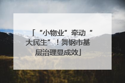 “小物业”牵动“大民生”！舞钢市基层治理显成效