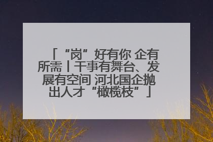 “岗”好有你 企有所需丨干事有舞台、发展有空间 河北国企抛出人才“橄榄枝”