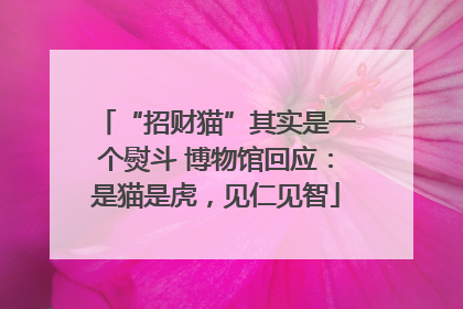 “招财猫”其实是一个熨斗 博物馆回应：是猫是虎，见仁见智