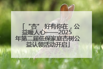 “杏” 好有你在，公益暖人心——2025 年第二届低保家庭杏树公益认领活动开启