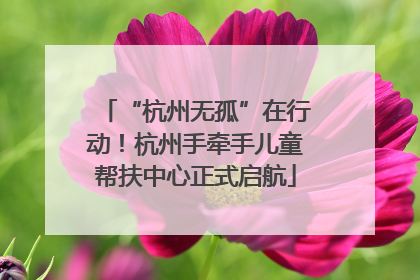 “杭州无孤”在行动！杭州手牵手儿童帮扶中心正式启航