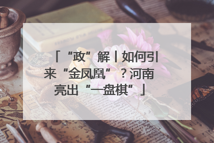 “政”解丨如何引来“金凤凰”？河南亮出“一盘棋”