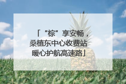 “棕”享安畅，桑植东中心收费站暖心护航高速路