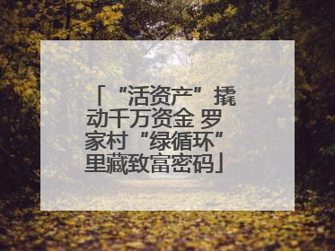 “活资产”撬动千万资金 罗家村“绿循环”里藏致富密码