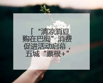 “清凉消夏 购在巴蜀”消费促进活动启幕，五城“票根+”让利超亿元