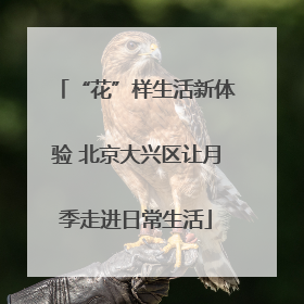 “花”样生活新体验 北京大兴区让月季走进日常生活