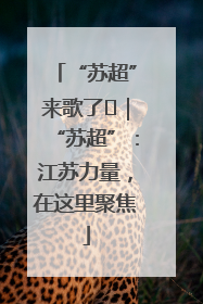 “苏超”来歌了⑪｜“苏超”：江苏力量，在这里聚焦