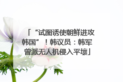 “试图诱使朝鲜进攻韩国”！韩议员：韩军曾派无人机侵入平壤