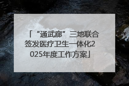 “通武廊”三地联合签发医疗卫生一体化2025年度工作方案