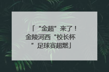 “金超”来了！金陵河西“校长杯”足球赛超燃