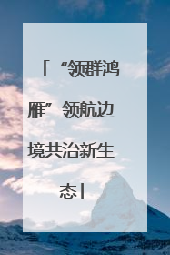 “领群鸿雁”领航边境共治新生态