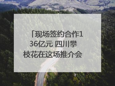 现场签约合作136亿元 四川攀枝花在这场推介会上画“图谱”列“清单”