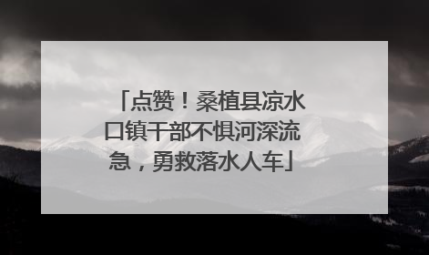 点赞！桑植县凉水口镇干部不惧河深流急，勇救落水人车