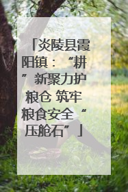 炎陵县霞阳镇：“耕”新聚力护粮仓 筑牢粮食安全“压舱石”