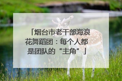 烟台市老干部海浪花舞蹈团：每个人都是团队的“主角”