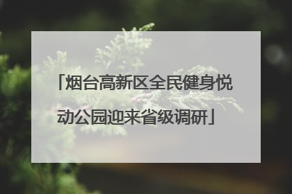 烟台高新区全民健身悦动公园迎来省级调研