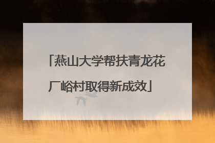 燕山大学帮扶青龙花厂峪村取得新成效