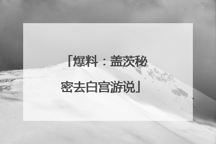 爆料：盖茨秘密去白宫游说