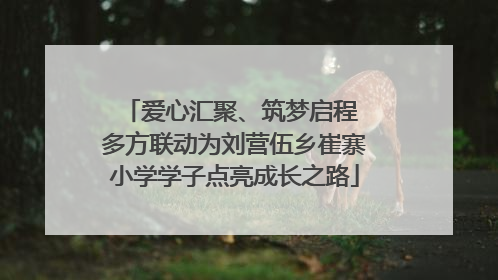 爱心汇聚、筑梦启程 多方联动为刘营伍乡崔寨小学学子点亮成长之路
