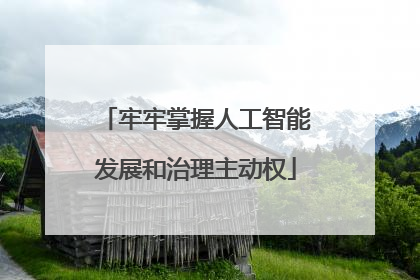 牢牢掌握人工智能发展和治理主动权