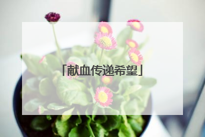 献血传递希望