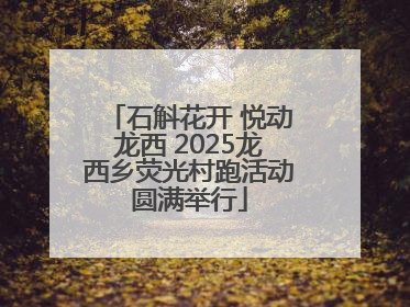 石斛花开 悦动龙西 2025龙西乡荧光村跑活动圆满举行