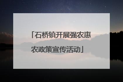 石桥镇开展强农惠农政策宣传活动