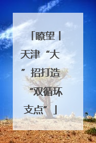 瞭望丨天津“大”招打造“双循环支点”