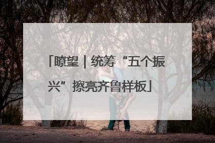 瞭望｜统筹“五个振兴”擦亮齐鲁样板