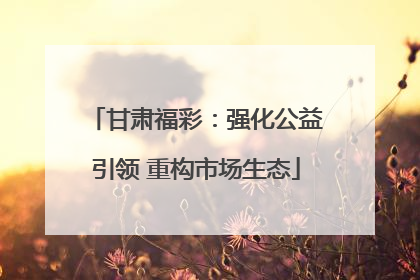 甘肃福彩：强化公益引领 重构市场生态
