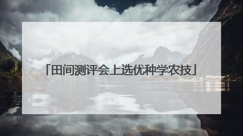 田间测评会上选优种学农技